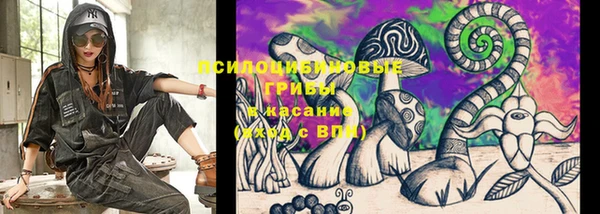 прущие крисы Зерноград