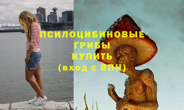 экстази Инта