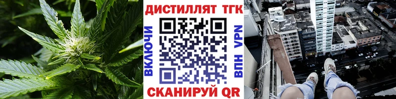 Купить  Вышний Волочёк  ТГК THC oil 