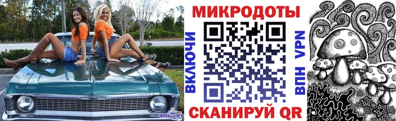 Купить  Вышний Волочёк  Псилоцибиновые грибы Cubensis 